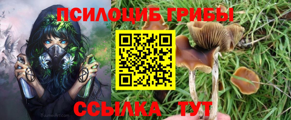 Псилоцибиновые грибы Magic Shrooms  Вход с VPN  Губаха 
